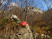 DIVERTENTE CANALONE BELASA AL MOREGALLO Sabato 24 novembre 2012  - FOTOGALLERY
